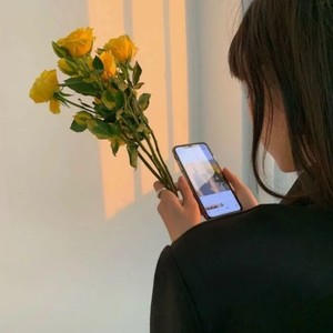 沈园外 (DJ海南DJ茂版)