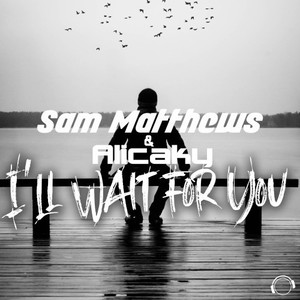 I'll Wait For You (Extended Mix)