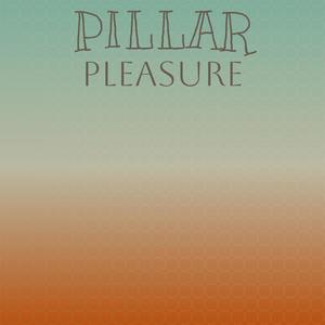 Pillar Pleasure