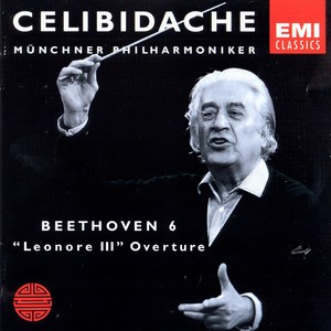 Symphony No. 6 in F Op. 68 'Pastoral': II. Andante molto moto (Scene by the brook)