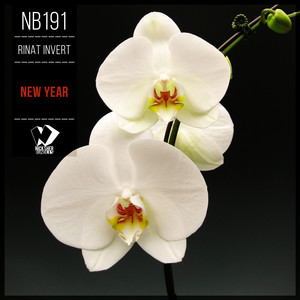 New Year (Original Mix)