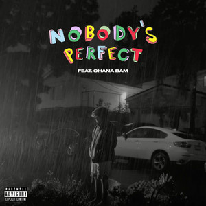 Nobody's Perfect (Explicit)