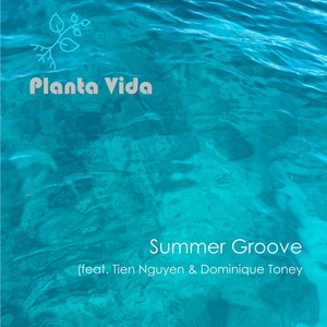 Summer Groove (feat. Tien Nguyen & Dominique Toney) (Radio Edit)