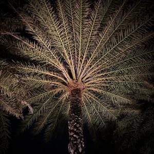 Everything 2025 (Explicit)