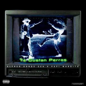 Te Gustan Perros (Explicit)