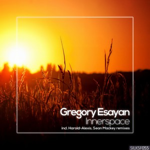 Innerspace (Sean Mackey Remix)