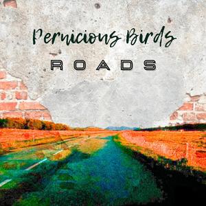 Roads(feat. People Of The Parallel & Clare Estelle)