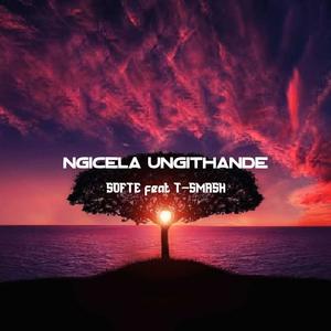 Ngicelungithande (feat. T-Smash)