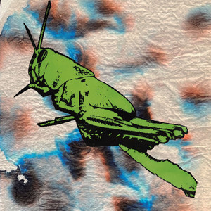 Mar en Barranco 1 / Lauranda Marciano / Mar en Barranco 2 / Cajón Tóxico / Riachuelo en Urubamba