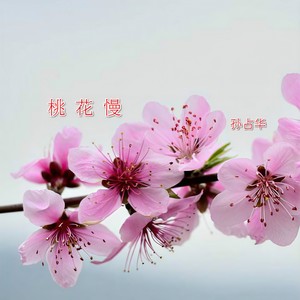 桃花慢