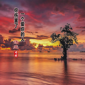 你伤害了一个爱你的人 (伴奏)