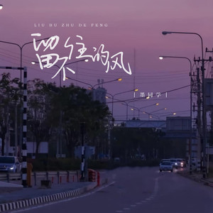 留不住的风