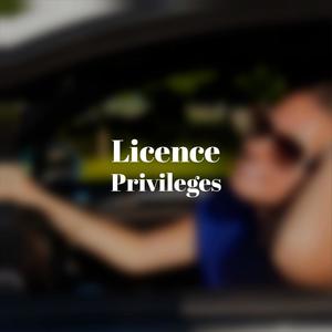 Licence Privileges