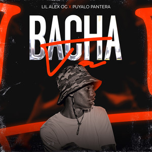 Bachata