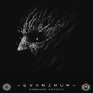 Exanimum