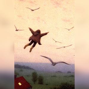 Fly like a bird (Explicit)