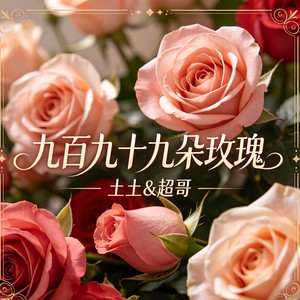 九百九十九朵玫瑰-土土&超哥