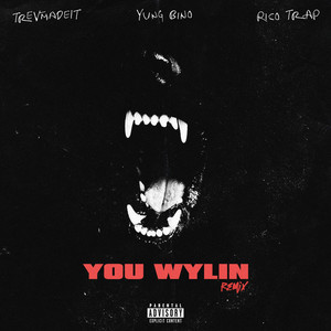 You Wylin (Explicit)
