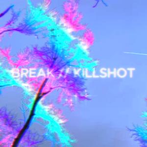 BREAK // KILLSHOT