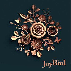 JoyBird