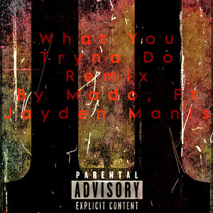 What You Tryna Do II (feat. Jayden Manis) (Explicit)