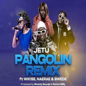 Pangolin (feat. Wikise1992, Nae Rae & Bwede) (Remmix)