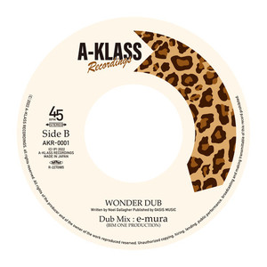 WONDER DUB (DUBMIX)