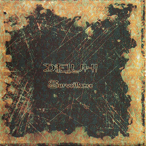 deluhi - ~Surveillance~