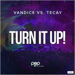Turn It Up! (Backside Artists Extended Remix)