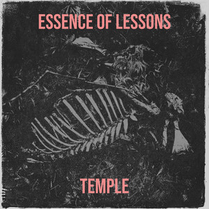 Temple - Get Less (Explicit)