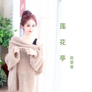 莲花亭 (DJ何鹏版)