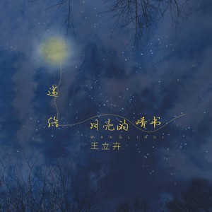 递给月亮的情书