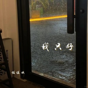 我只好