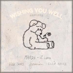 Wishing You Well (Remixes)