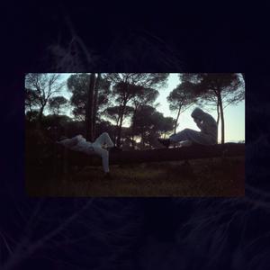 Libre Soy (feat. prod. antoac & Cane.) (Explicit)