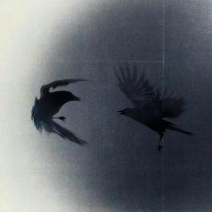 Obstacles (nbaron Remix)