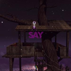 Say