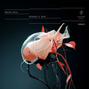 Brother's Yard (Francesco Mami Remix)