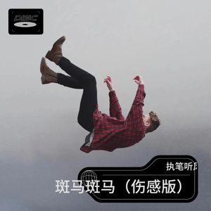 斑马斑马