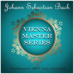 Violin Concerto No. 1 in A Minor, BWV 1041 - II. Andante
