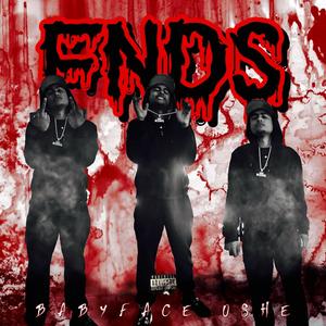 FNDS (Explicit)