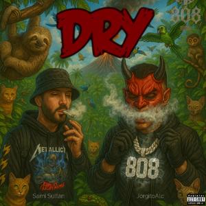 DRY (feat. Sami Sultán) (Explicit)