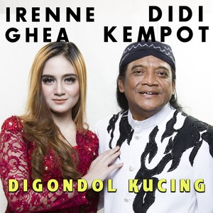 Digondol Kucing