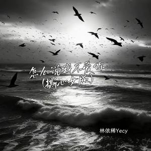 怎么说我不爱你 (撕心女版伴奏)