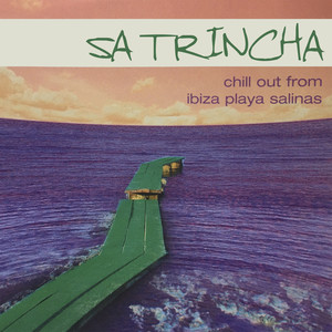 Sa Trincha (Chill out from Ibiza Playa Salinas)