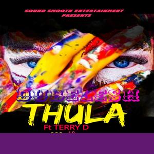 Thula (feat. Terry D)