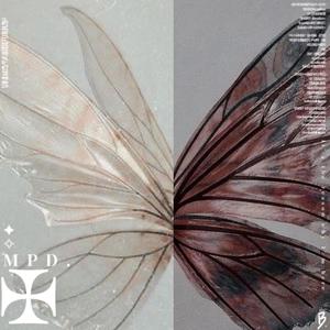 蝴蝶 QC (Remix|Explicit)