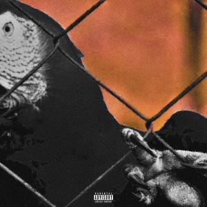 CULT (feat. HIBARI555) (Explicit)