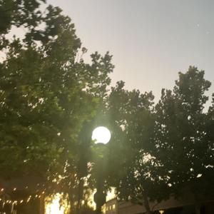 Playin Us (Explicit)