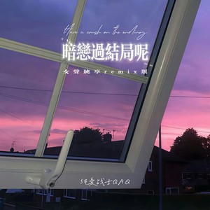 暗恋过结局呢 (女声纯享remix版)